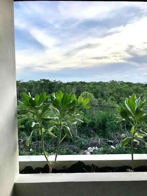 Apartament N35 Jungle Nest Tulum Meksyk